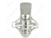 Alctron MC001 Studio Condenser Microphone